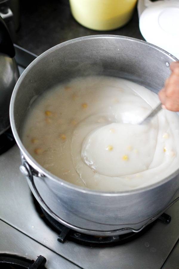 Maja in a pot.