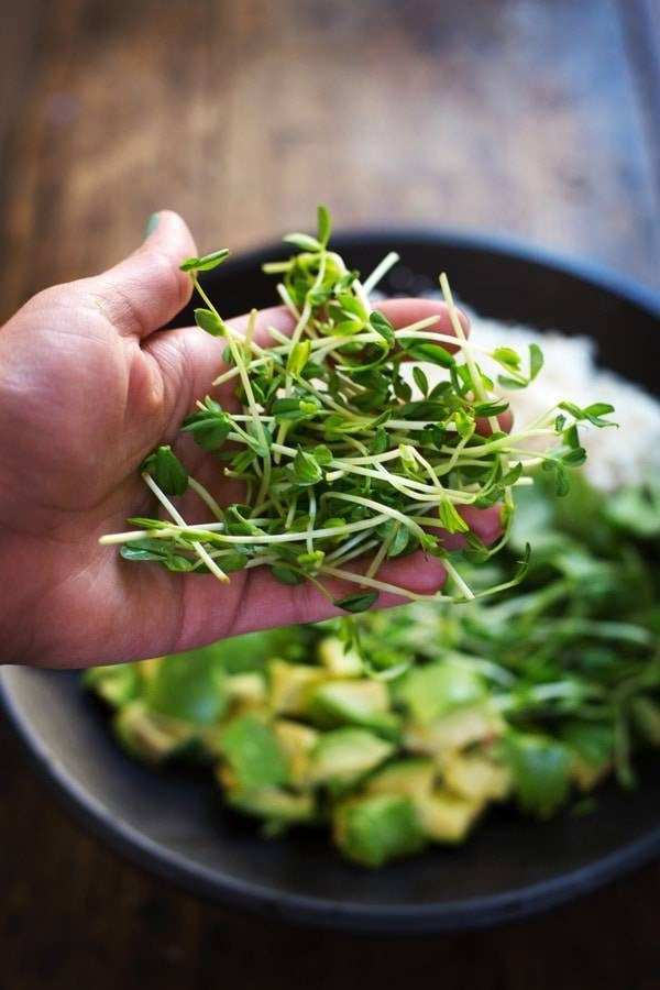 Sprouts on a hand.