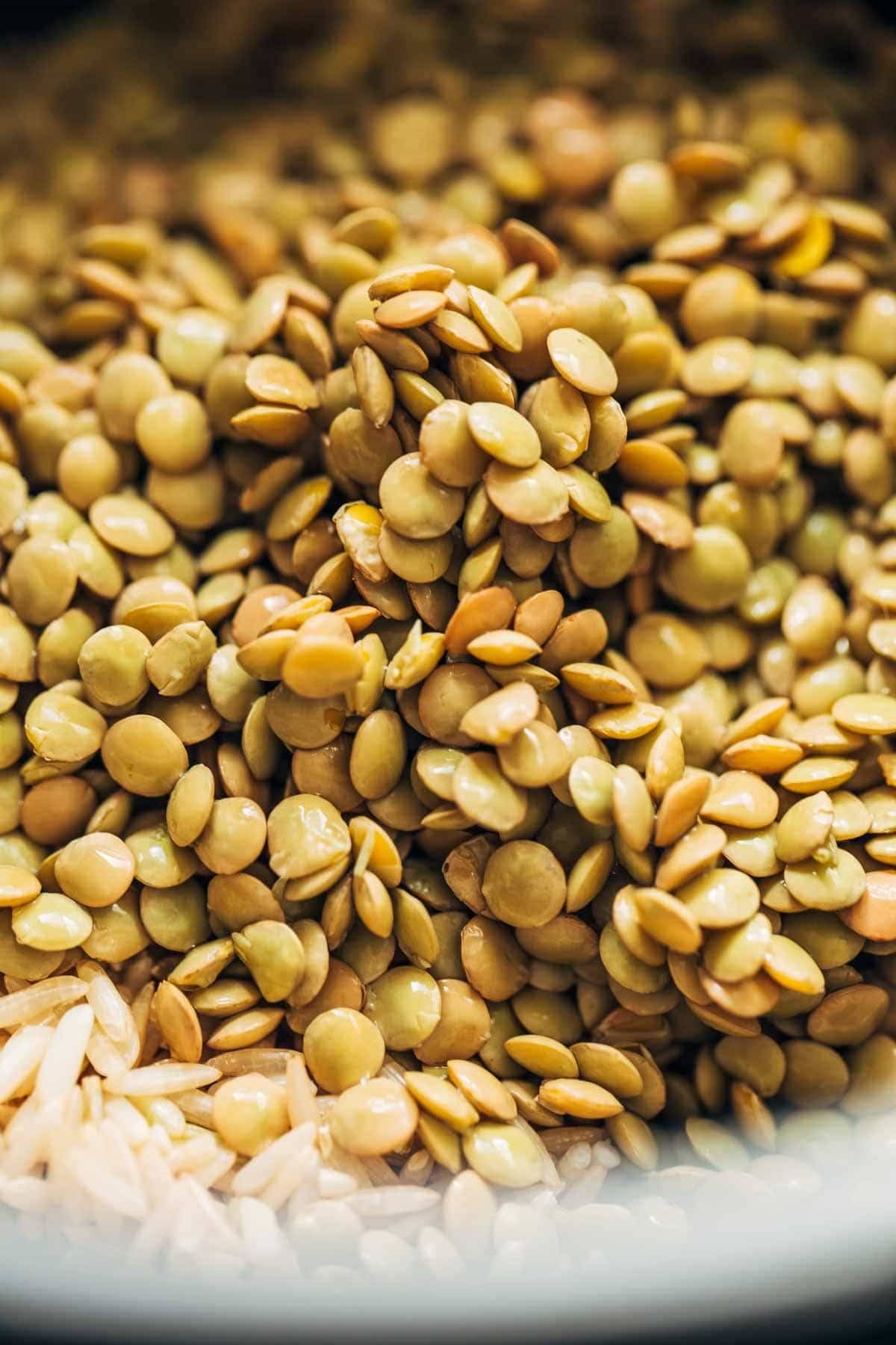 Lentils.